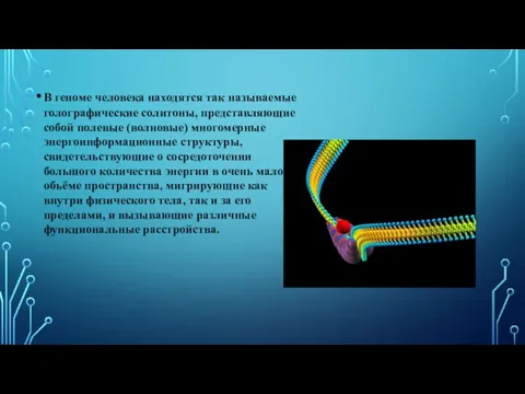 В геноме человека находятся так называемые голографические солитоны, представляющие собой