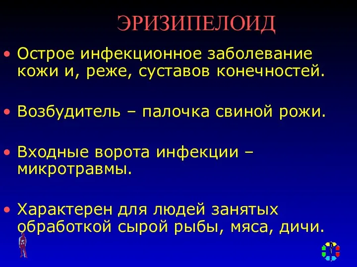 ЭРИЗИПЕЛОИД Острое инфекционное заболевание кожи и, реже, суставов конечностей. Возбудитель – палочка свиной