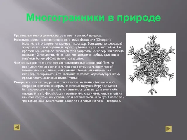 Многогранники в природе Правильные многогранники встречаются и в живой природе.