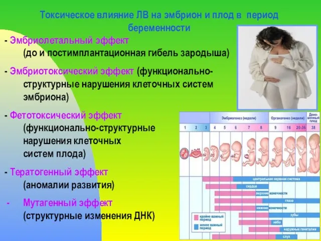 Токсическое влияние ЛВ на эмбрион и плод в период беременности - Эмбриолетальный эффект