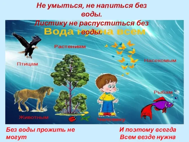 Не умыться, не напиться без воды. Листику не распуститься без воды. Без воды