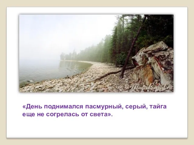 «День поднимался пасмурный, серый, тайга еще не согрелась от света».