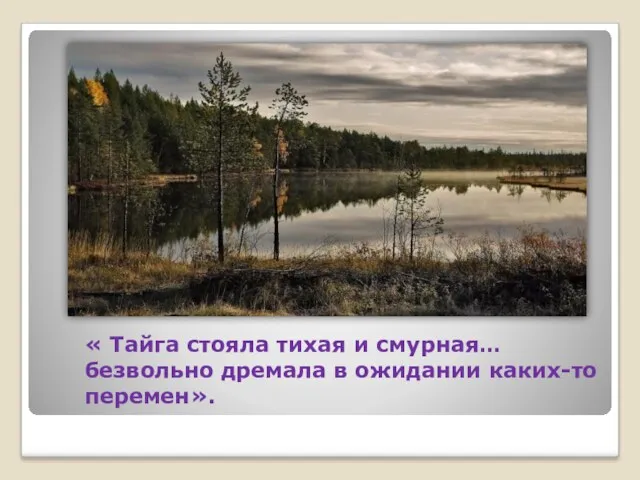 « Тайга стояла тихая и смурная… безвольно дремала в ожидании каких-то перемен».