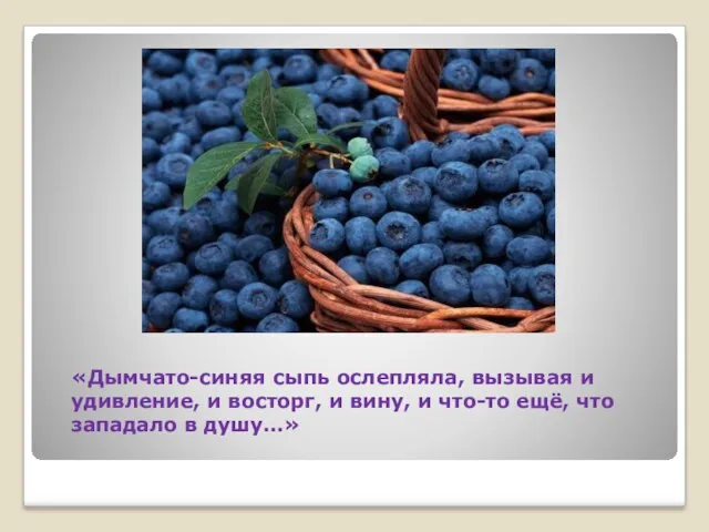 «Дымчато-синяя сыпь ослепляла, вызывая и удивление, и восторг, и вину,