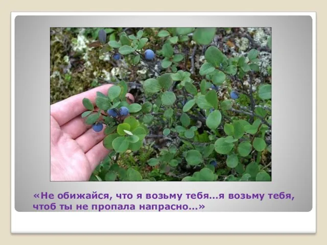 «Не обижайся, что я возьму тебя…я возьму тебя, чтоб ты не пропала напрасно…»