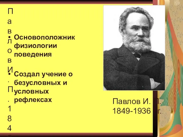 Павлов И. П. 1849-1936 г.г. Основоположник физиологии поведения Создал учение