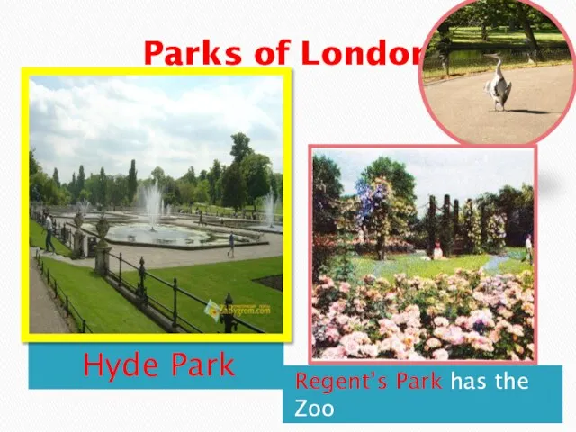 Parks of London Hyde Park Regent’s Park has the Zoo