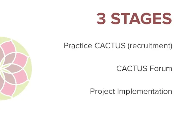 3 STAGES Practice CACTUS (recruitment) CACTUS Forum Project Implementation