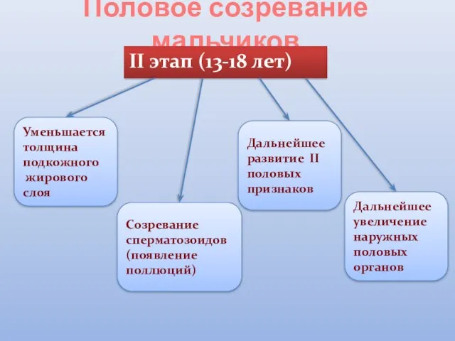 Половое созревание мальчиков II этап (13-18 лет) Уменьшается толщина подкожного