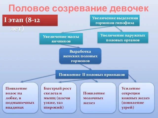 Половое созревание девочек I этап (8-12 лет) Увеличение выделения гормонов