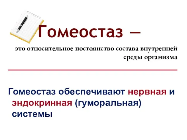 Гомеостаз ― это относительное постоянство состава внутренней среды организма Гомеостаз обеспечивают нервная и эндокринная (гуморальная) системы