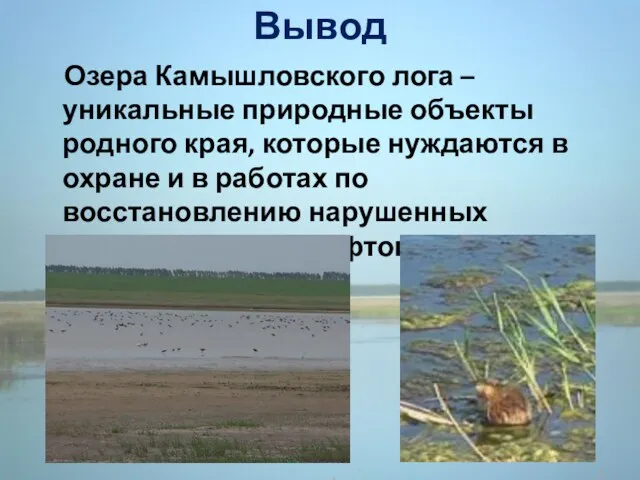 Вывод Озера Камышловского лога – уникальные природные объекты родного края,