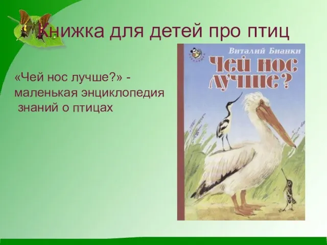 Книжка для детей про птиц «Чей нос лучше?» - маленькая энциклопедия знаний о птицах