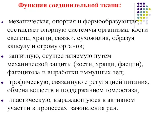 Функции соединительной ткани: механическая, опорная и формообразующая, составляет опорную системуы