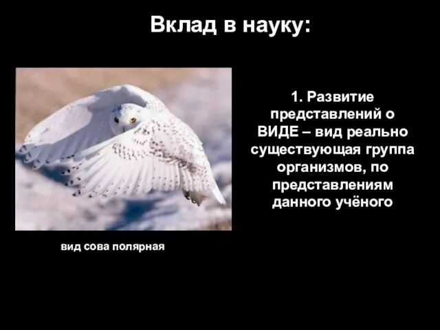 Вклад в науку: 1. Развитие представлений о ВИДЕ – вид