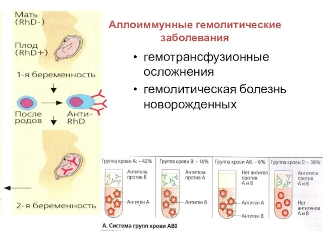 гемотрансфузионные осложнения гемолитическая болезнь новорожденных Аллоиммунные гемолитические заболевания