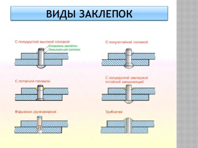 ВИДЫ ЗАКЛЕПОК