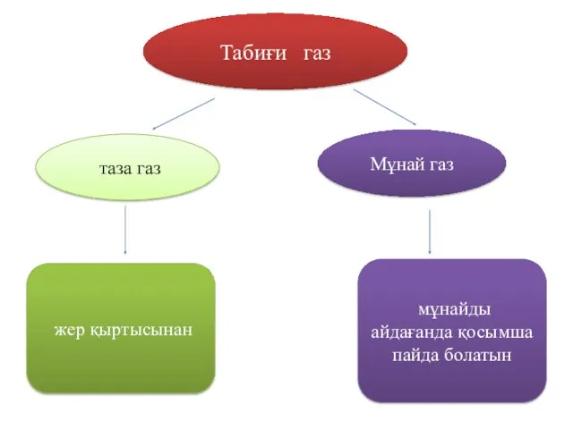 Табиғи газ таза газ Мұнай газ жер қыртысынан мұнайды айдағанда қосымша пайда болатын