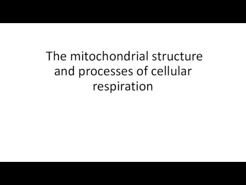 The mitochondrial structure and processes of cellular respiration