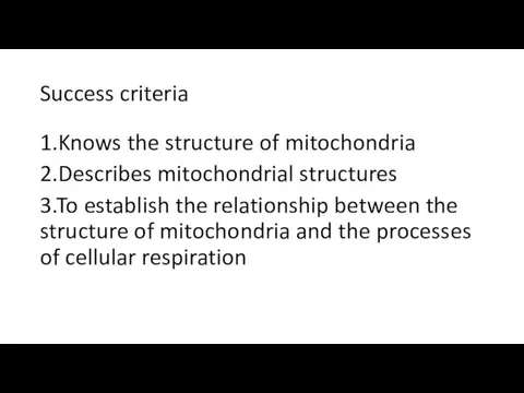 Success criteria 1.Knows the structure of mitochondria 2.Describes mitochondrial structures