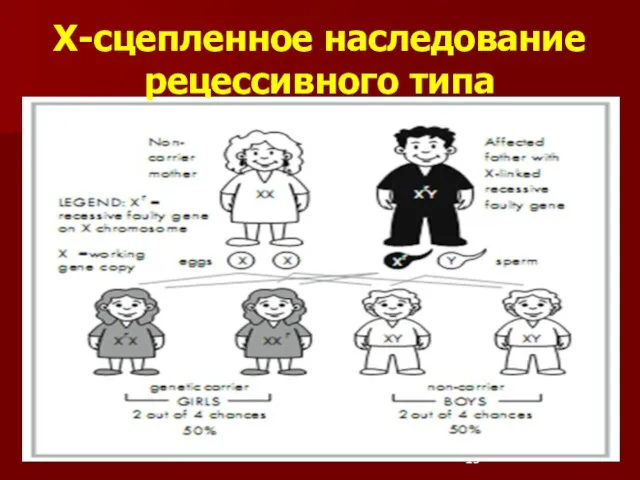 Х-сцепленное наследование рецессивного типа