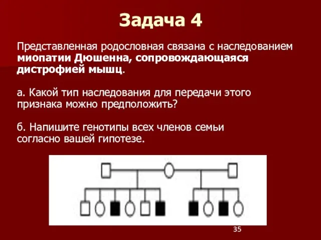 Представленная родословная связана с наследованием миопатии Дюшенна, сопровождающаяся дистрофией мышц.