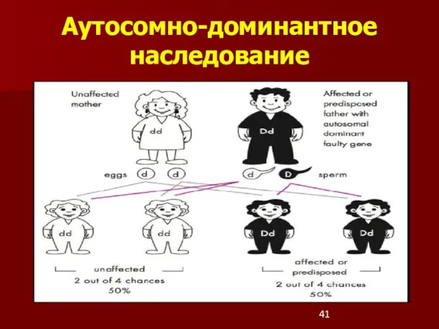 Аутосомно-доминантное наследование