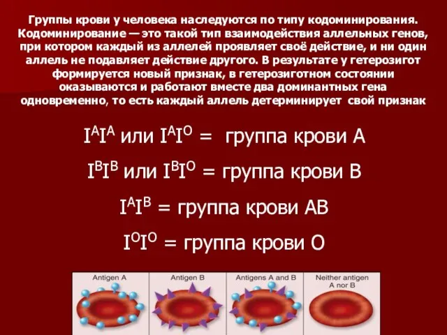 IAIA или IAIO = группа крови A IBIB или IBIO