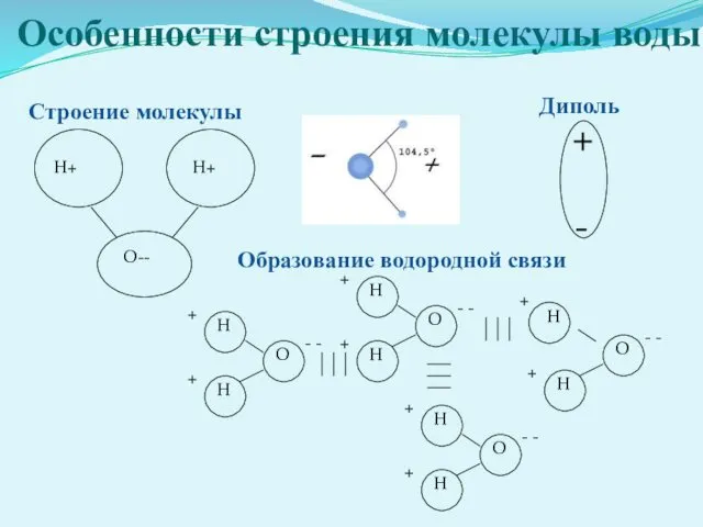 Особенности строения молекулы воды