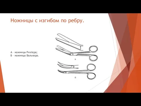 Ножницы с изгибом по ребру. А – ножницы Рихтера; Б – ножницы Валькера.