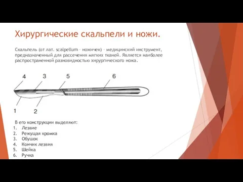 Хирургические скальпели и ножи. Скальпель (от лат. scalpellum – ножичек)