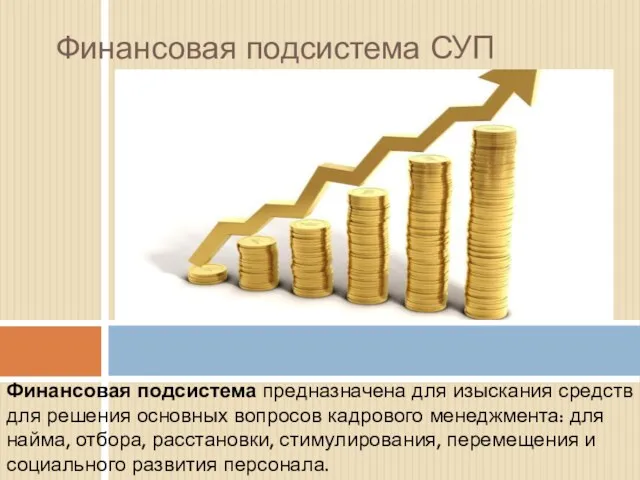 Финансовая подсистема предназначена для изыскания средств для решения основных вопросов