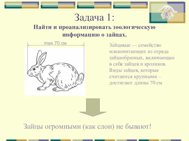 Задача 1: Найти и проанализировать зоологическую информацию о зайцах. Зайцы