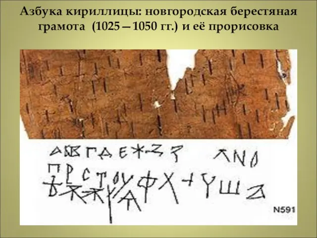 Азбука кириллицы: новгородская берестяная грамота (1025—1050 гг.) и её прорисовка