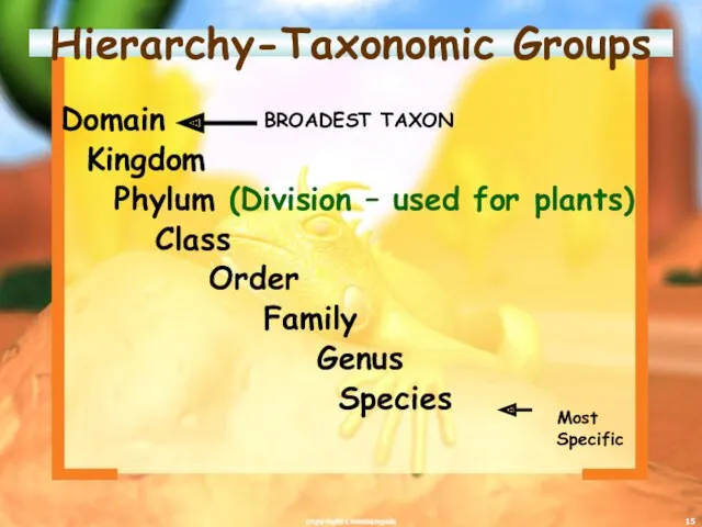 Hierarchy-Taxonomic Groups Domain Kingdom Phylum (Division – used for plants)