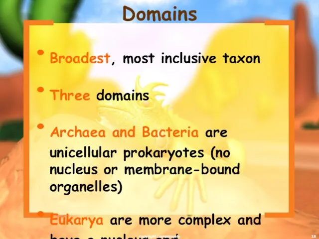 Broadest, most inclusive taxon Three domains Archaea and Bacteria are