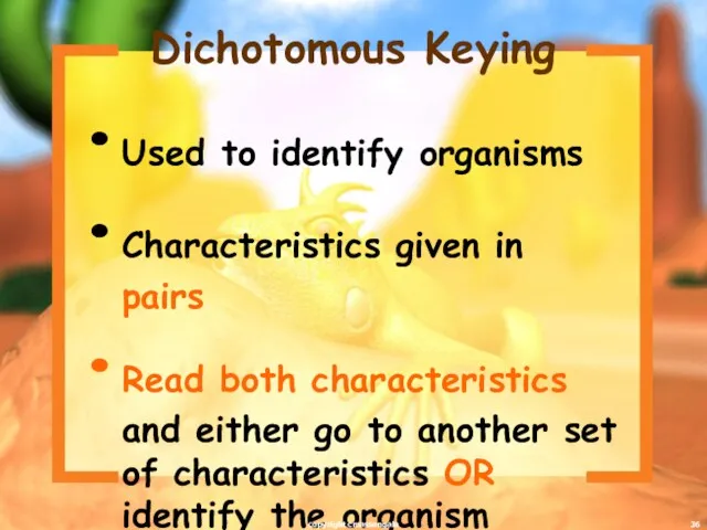 Dichotomous Keying Used to identify organisms Characteristics given in pairs