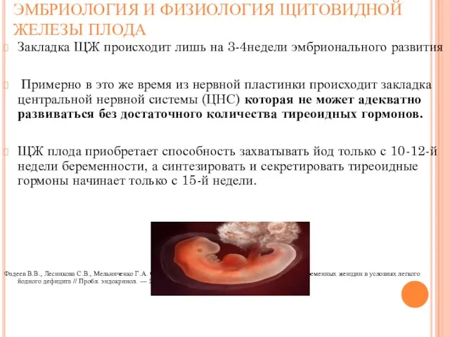 ЭМБРИОЛОГИЯ И ФИЗИОЛОГИЯ ЩИТОВИДНОЙ ЖЕЛЕЗЫ ПЛОДА Закладка ЩЖ происходит лишь на 3-4недели эмбрионального