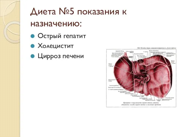 Диета №5 показания к назначению: Острый гепатит Холецистит Цирроз печени