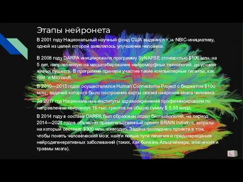 Этапы нейронета В 2001 году Национальный научный фонд США выдвинул