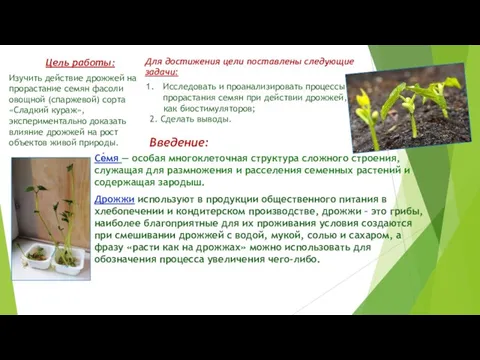 Введение: Се́мя — особая многоклеточная структура сложного строения, служащая для