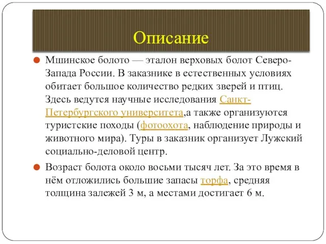 Описание Мшинское болото — эталон верховых болот Северо-Запада России. В