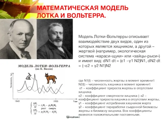 Модель Лотки-Вольтерры описывает взаимодействие двух видов, один из которых является