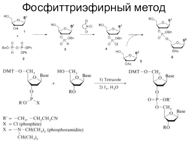 Фосфиттриэфирный метод