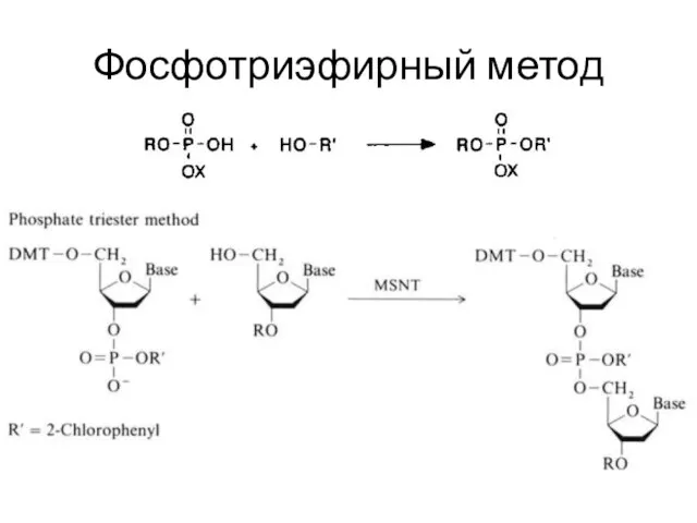 Фосфотриэфирный метод