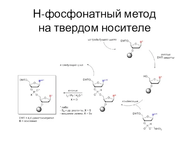 Н-фосфонатный метод на твердом носителе