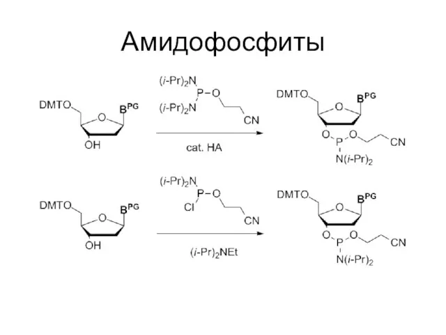 Амидофосфиты