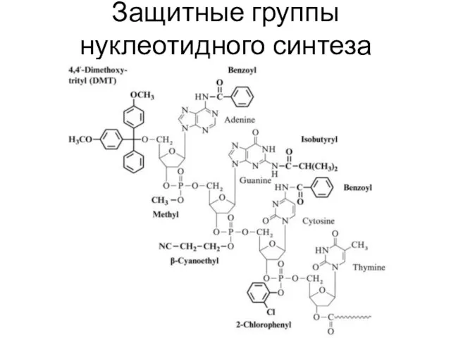 Защитные группы нуклеотидного синтеза