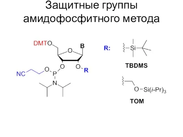 Защитные группы амидофосфитного метода