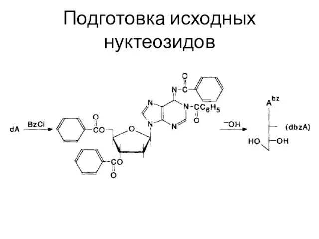 Подготовка исходных нуктеозидов